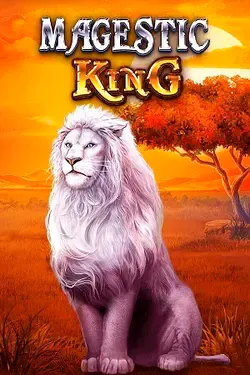 Gioco di Slot5